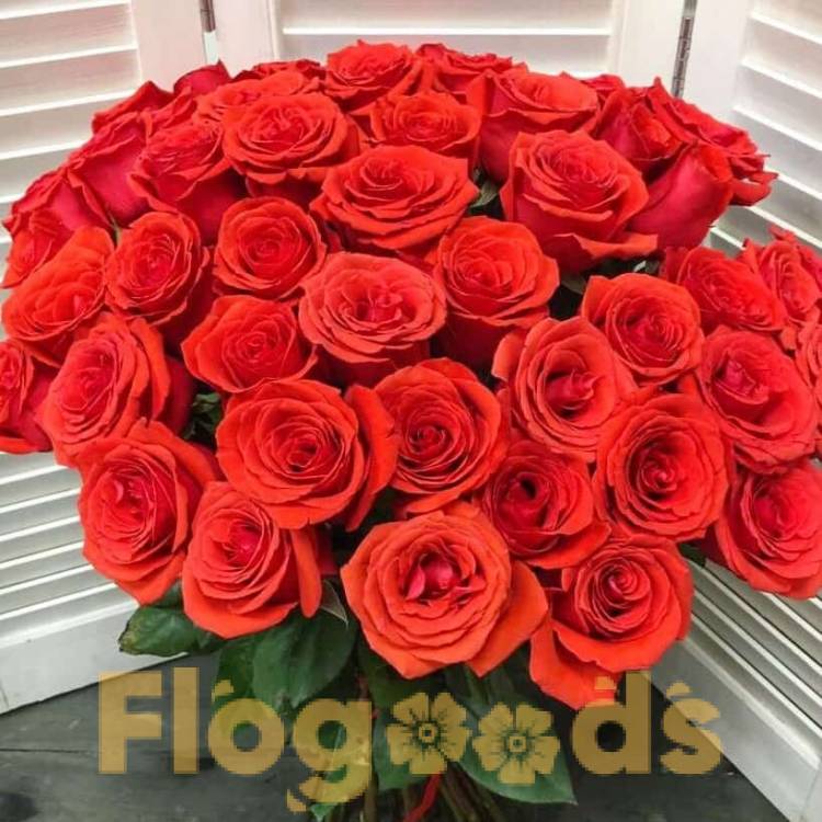 51 красная роза за 19 504 руб.